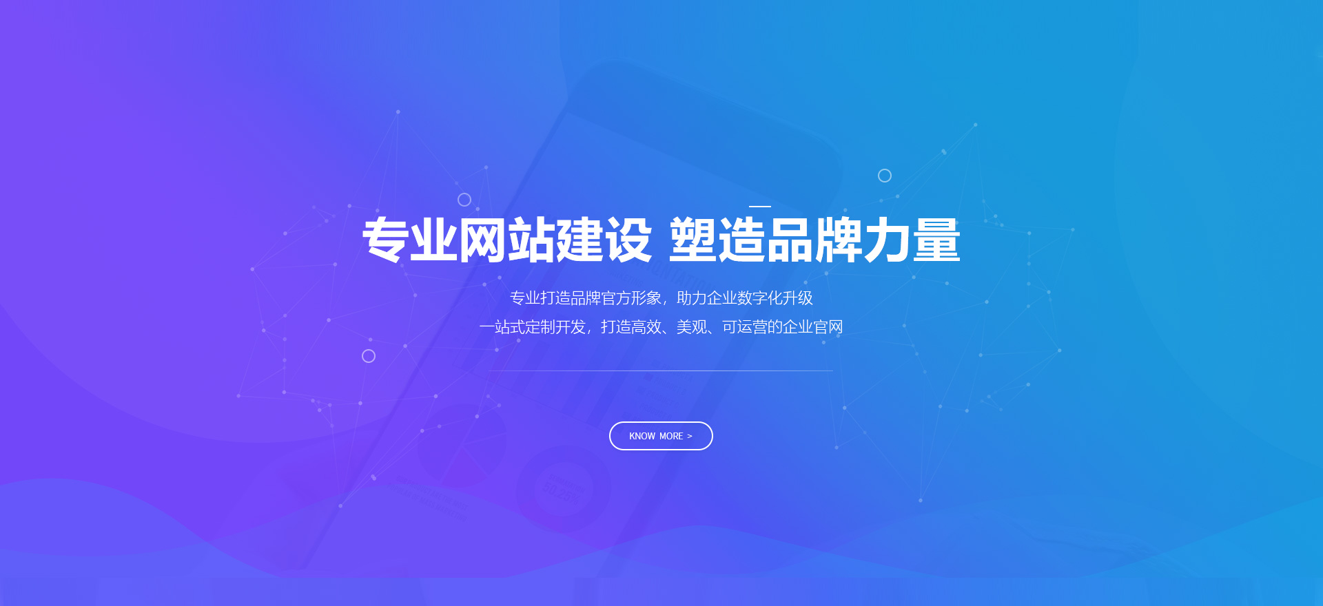 凌海建站-专业网站建设 塑造品牌力量