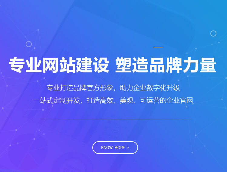 凌海建站-专业网站建设 塑造品牌力量